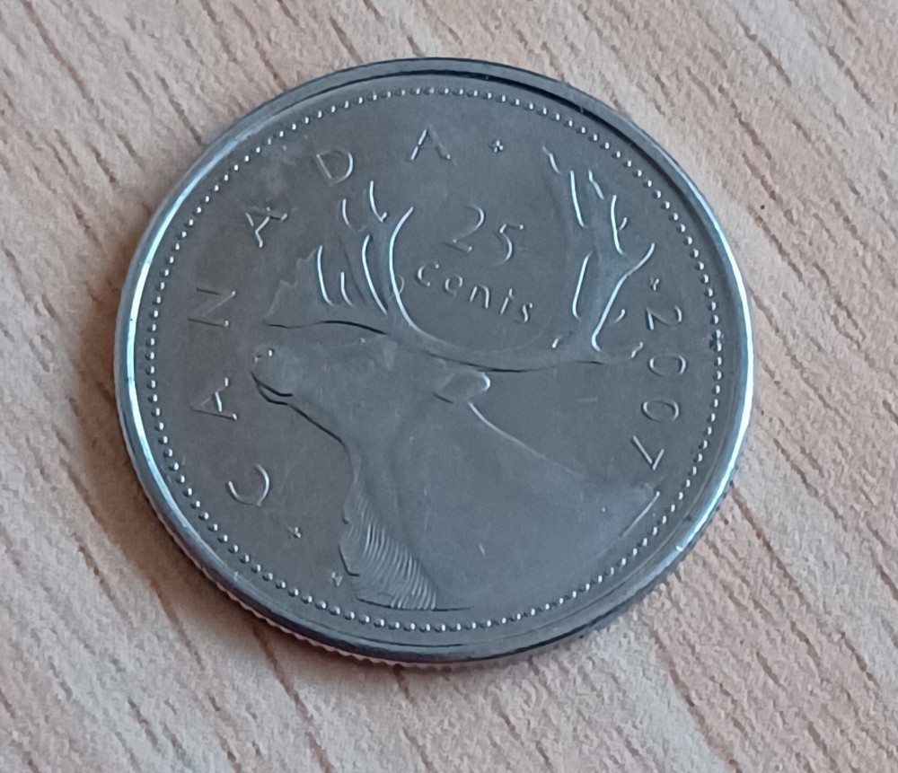 Canada 25 Cents Coin 2007 Leaf