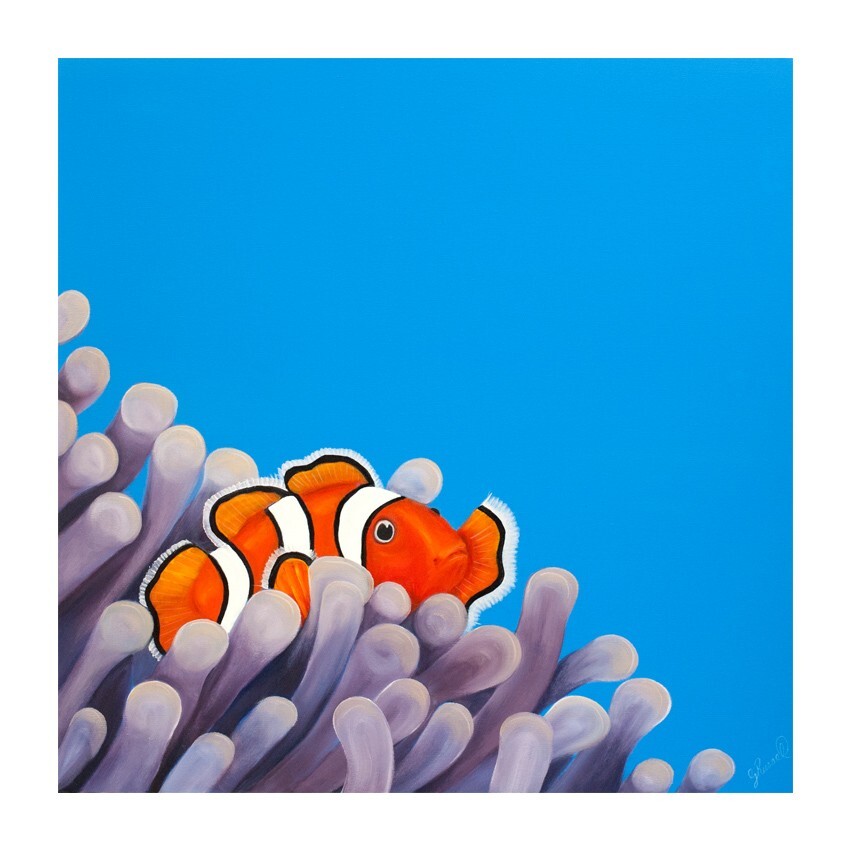 Coaster, Animals, Clownfish
