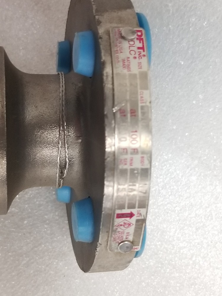 DFT Valves CN7N Check Valve 1" Stainless Flanged