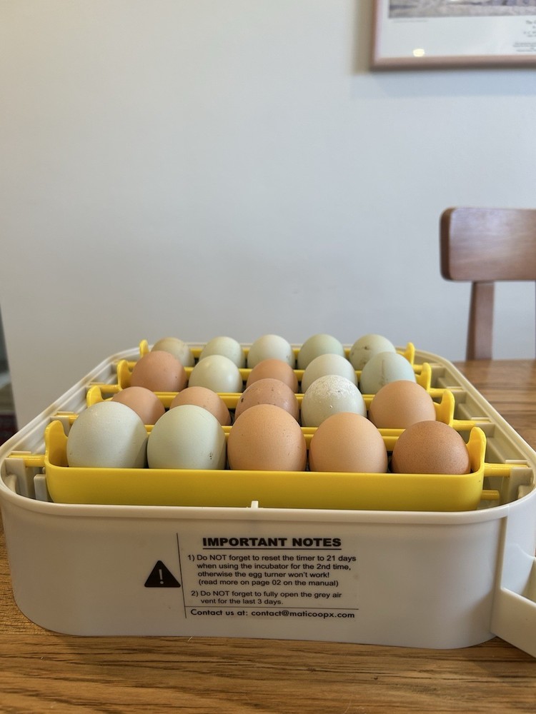 Maticoopx Egg Holder Insert