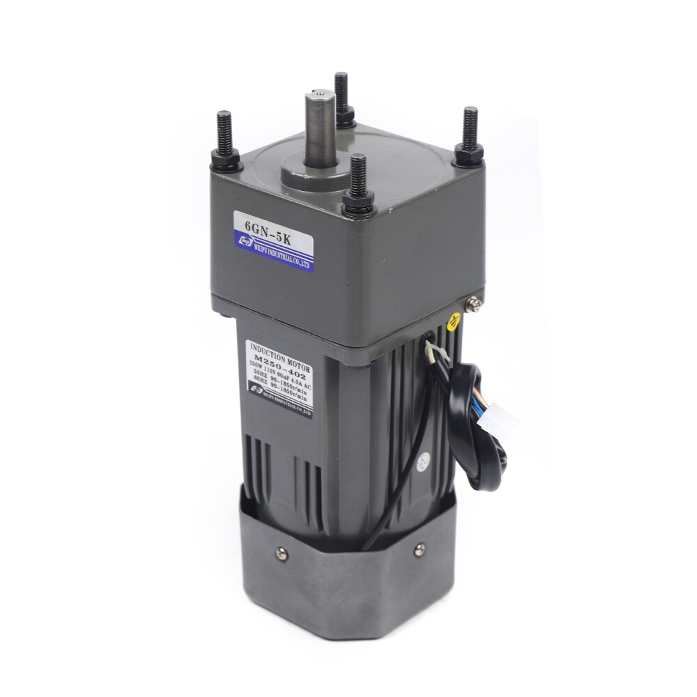 Variable Speed Motor 250W 5K 110v Ac Slow Down Motor Low Speed Mini Gearbox