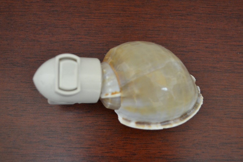 BONNET SEA SHELL NIGHTLIGHT BATHROOM KITCHEN #7909