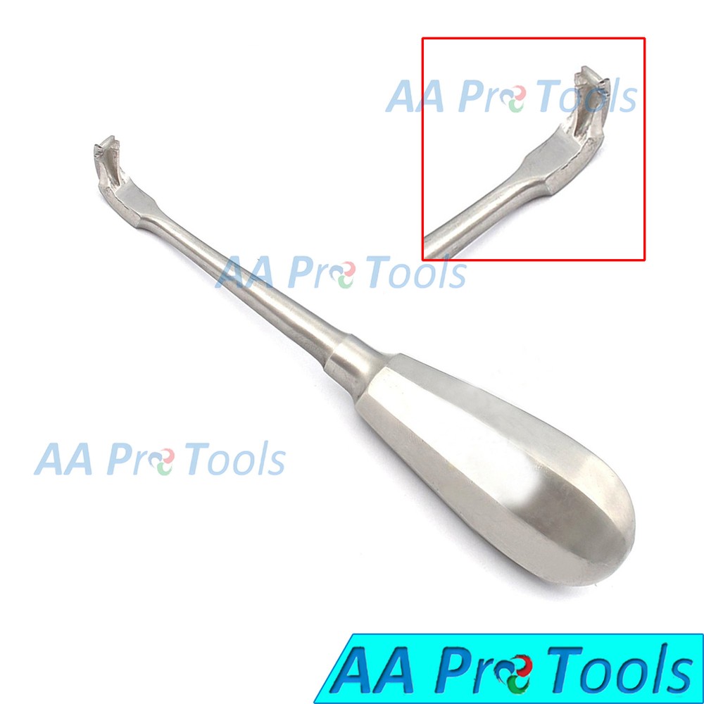 AA Pro: Crown Universal Hollow Handle AA+