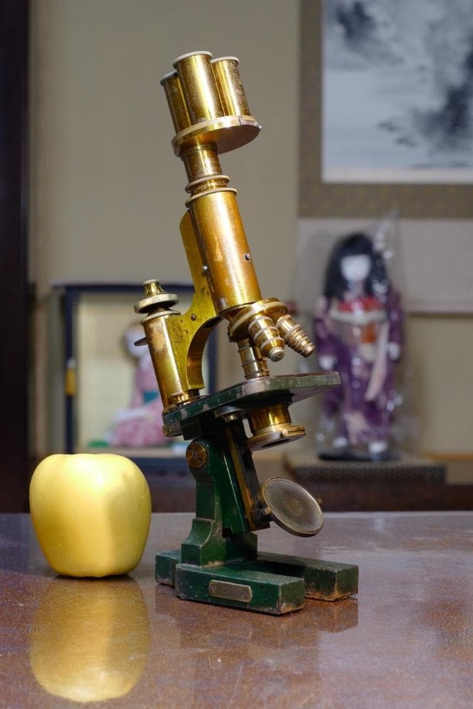 microscope antique vintage collectible E. mester's bacterial microscope