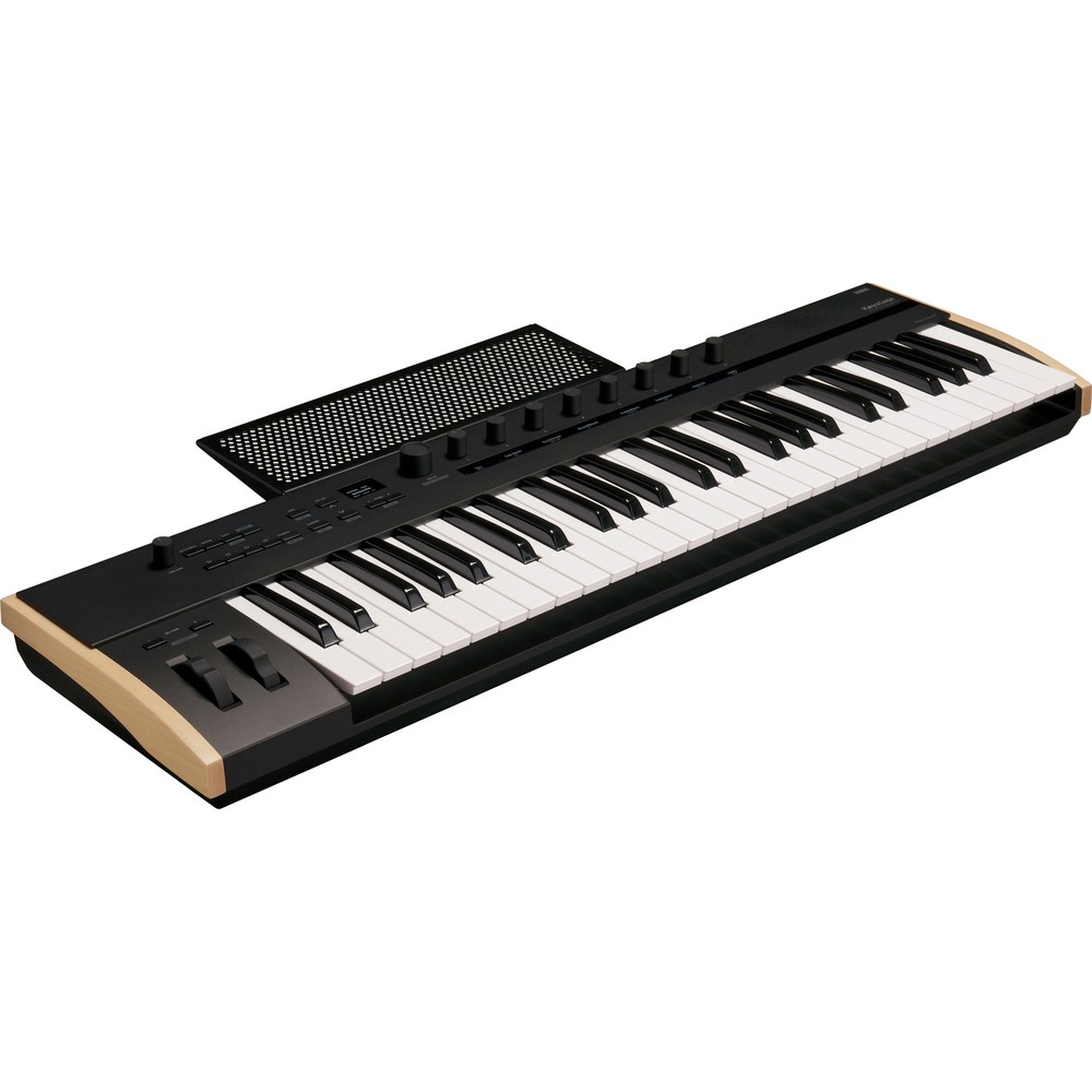 Korg Keystage 49 Poly AT MIDI Keyboard Controller CARRY BAG KIT