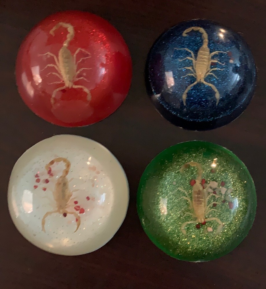 Scorpion Paper Weight Acrylic
