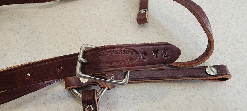 MacPherson Leather Horse Halter Band Headstall