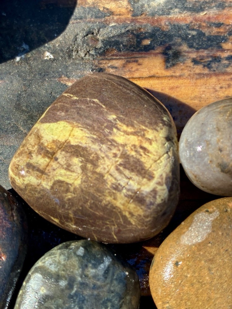Rocks for Tumbling Lapidary Material Rough