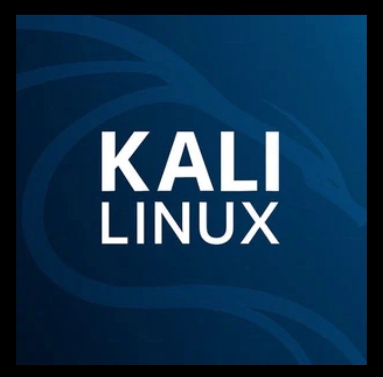 Kali Linux 2025 32 GB PNY USB - Ethical Hacking - Cybersecurity - Pen Test Tools