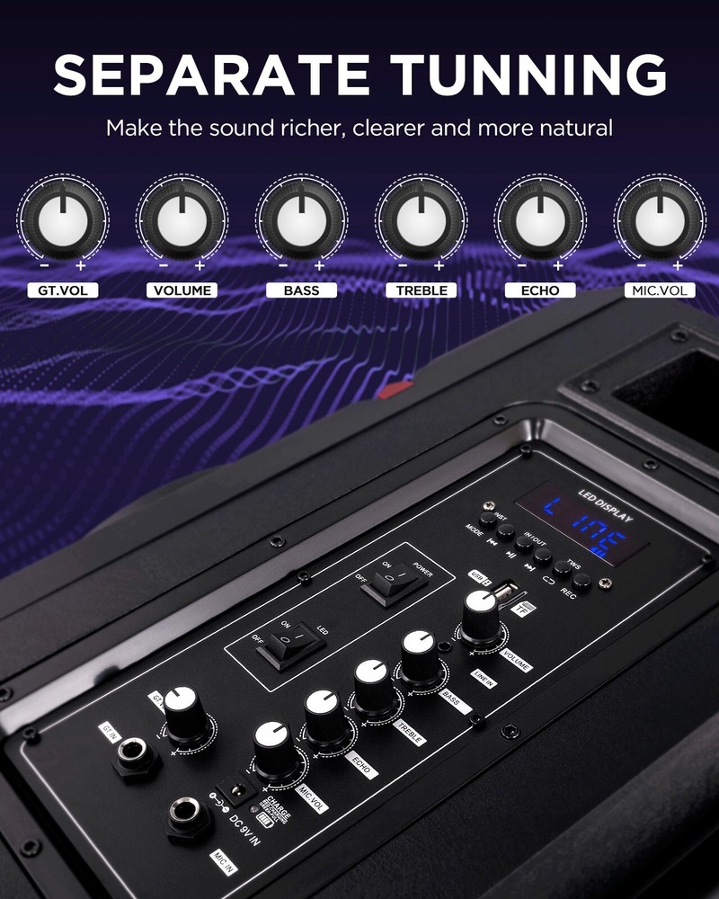 Karaoke Machine with 2 Wireless Microphones & Bluetooth Speaker