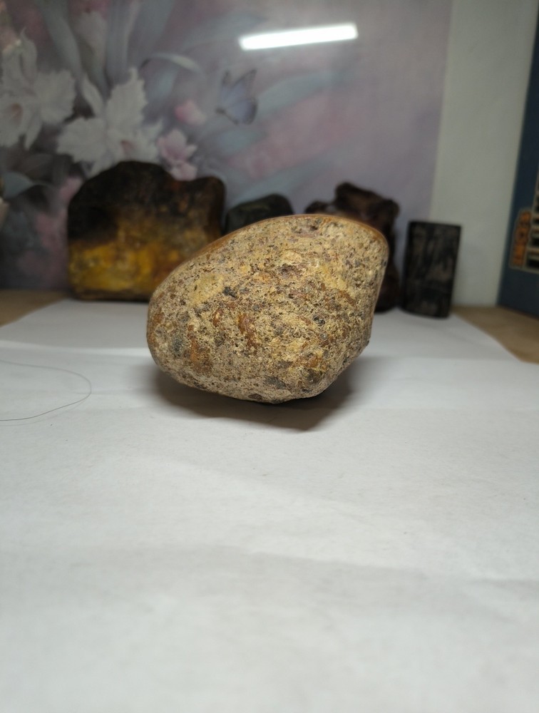 Egg Fossil possibly??? makes an interesting display piece