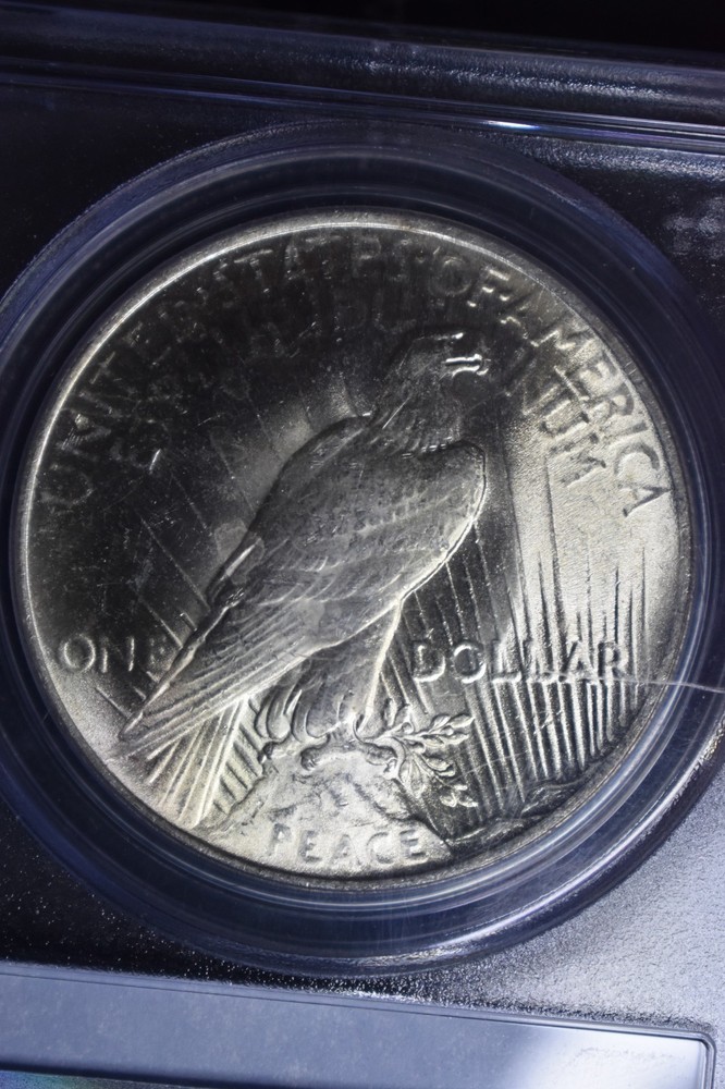 1924 Peace $1 PCGS MS64