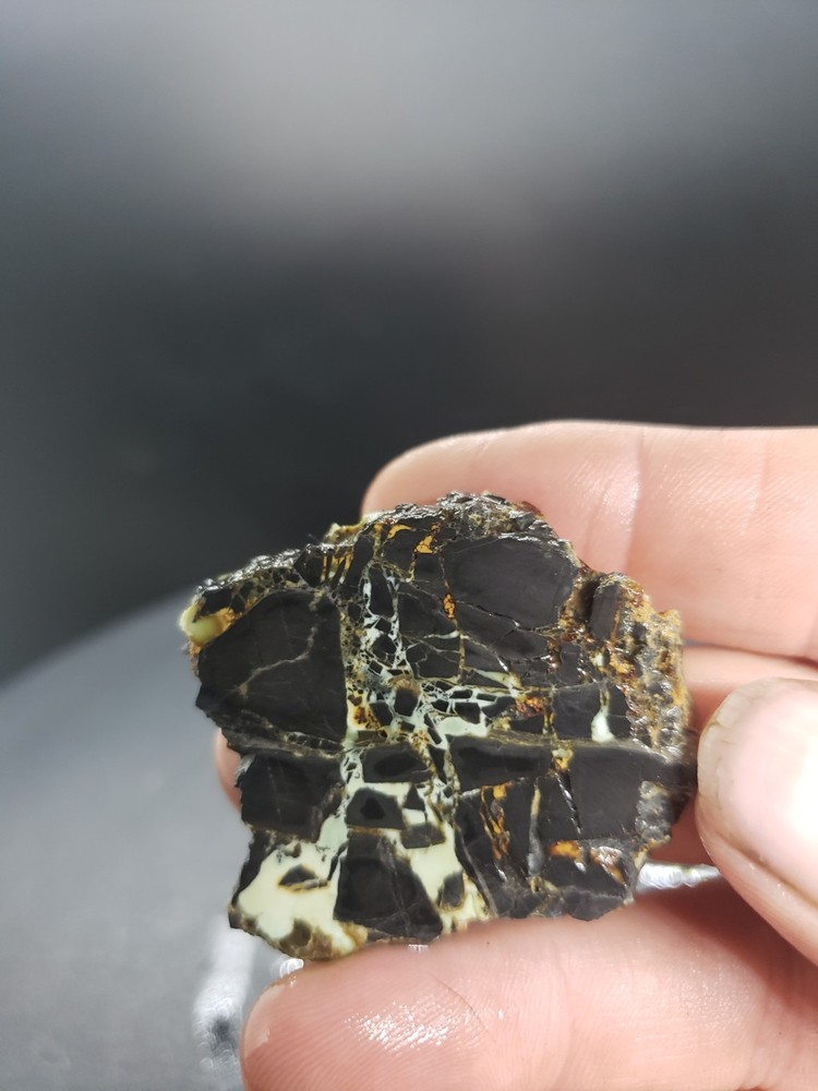 Nevada Gecko Variscite Slabs