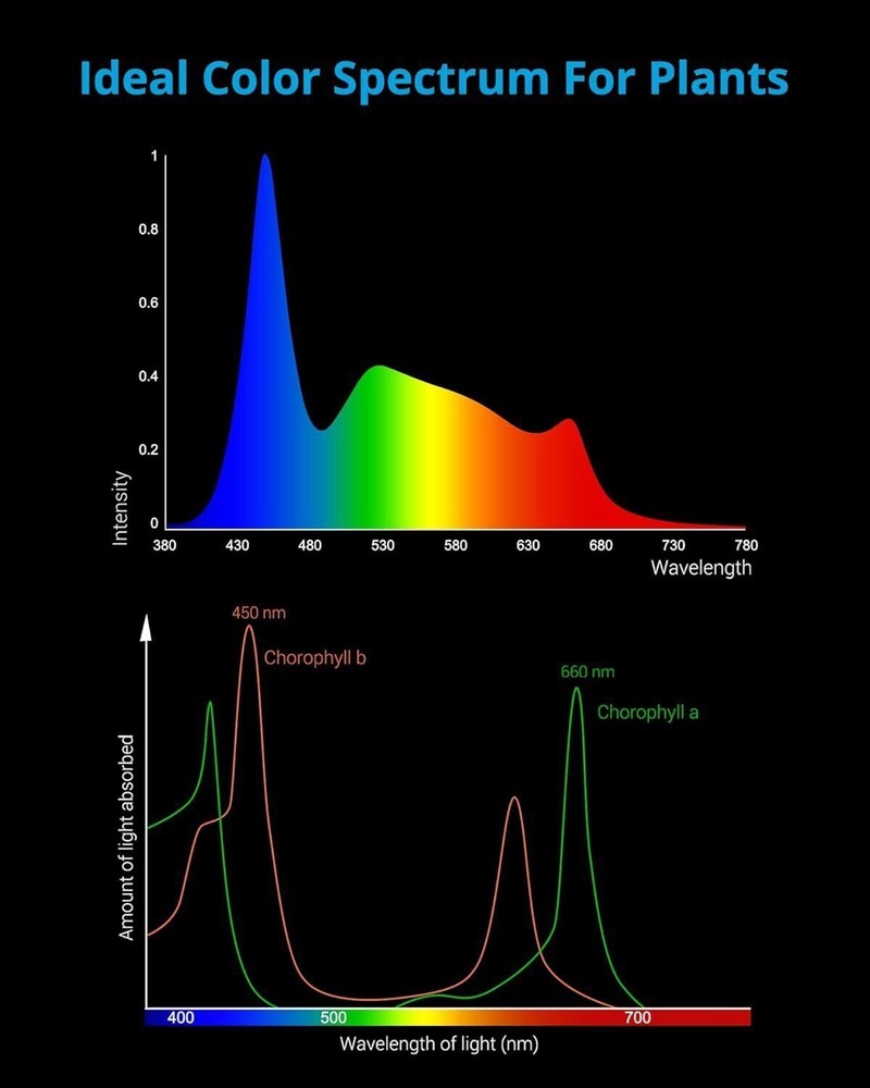 LED Aquarium Light W/ Timer Fish Tank Light Daylight Moonlight Cycle Adjustable