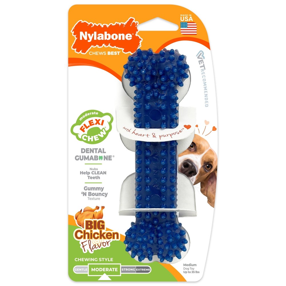 NYLABONE Plaque Attacker Dental Bone Regular