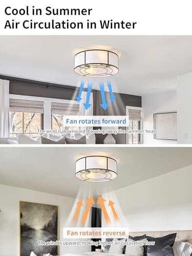 Caged Ceiling Fans with Lights Flush Mount, Low Profile Ceiling Fan with Black