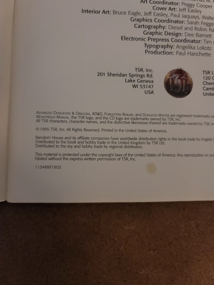 Advanced Dungeons & Dragons: Introduction To Dungeon Masters Guide (1995)