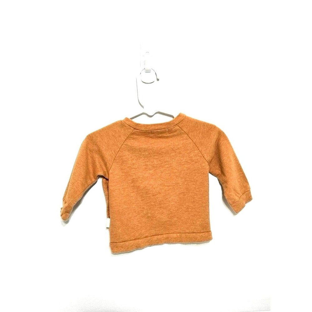 Rabbit +Bear pumpkin sweatshirt. Size 6-9 months.