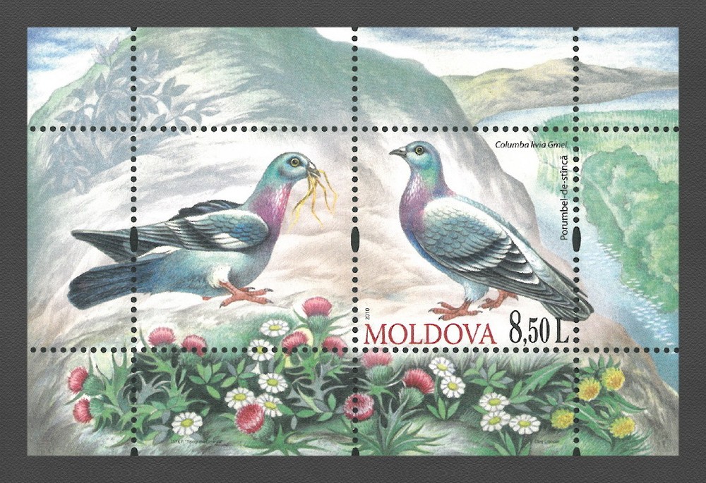 Moldova 2010 Birds Rock Dove MNH Block