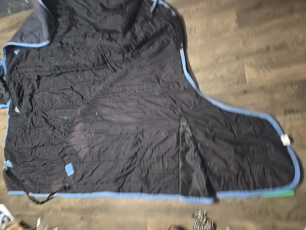 Horse Blanket