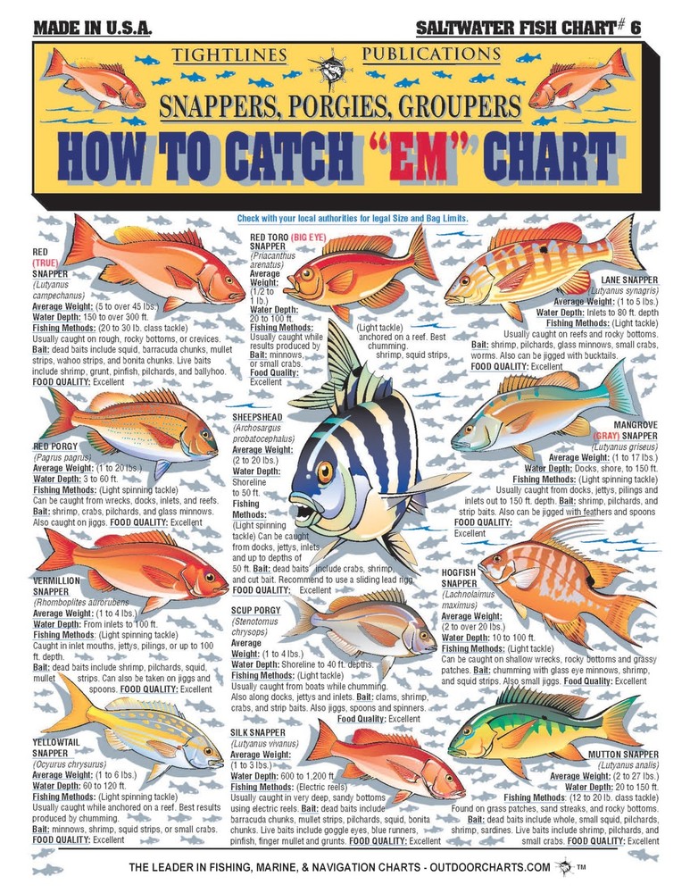 Saltwater Fish Identification Chart #6 - Waterproof Quick Reference Fishing...