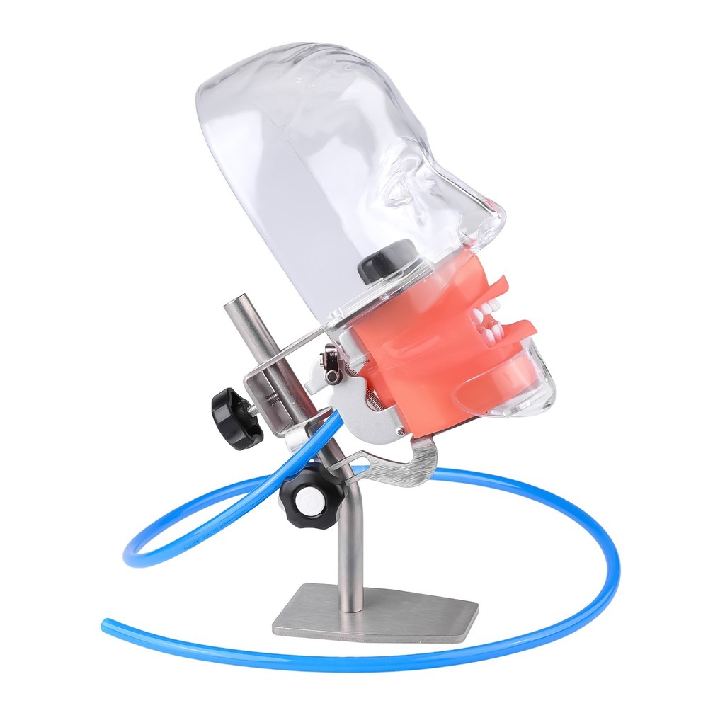 Desktop Dental Manual Manikin Simulator Phantom Head Model for Training Practice