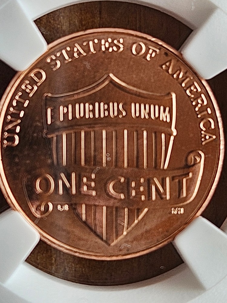2010 D LINCOLN CENT PENNY UNION SHIELD NGC MS66RD