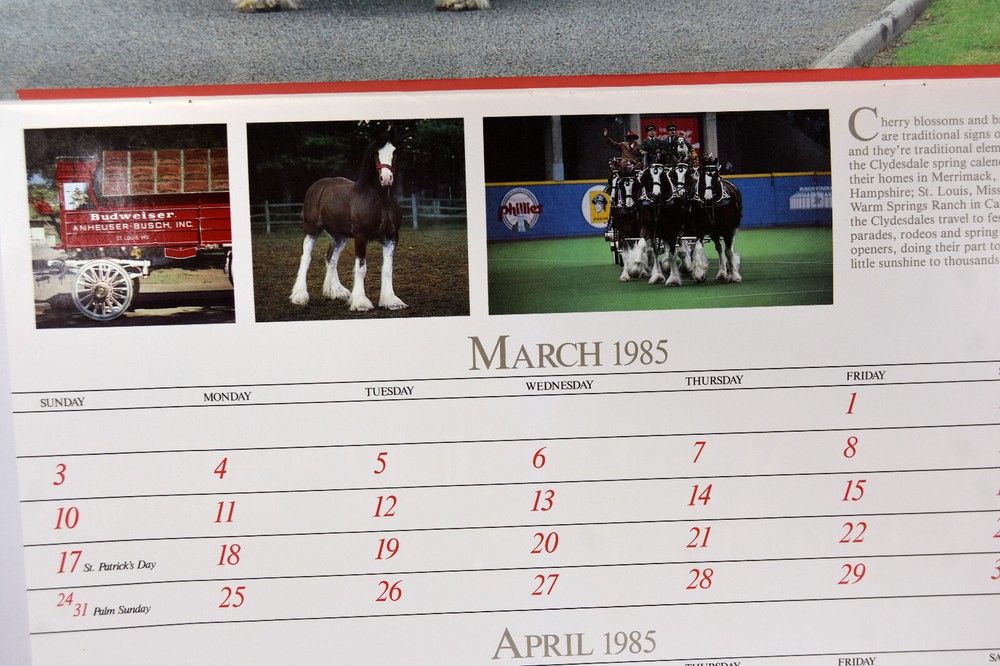1985 Budweiser Beer Clydesdale Calendar Anheuser Busch Eagle Distributing