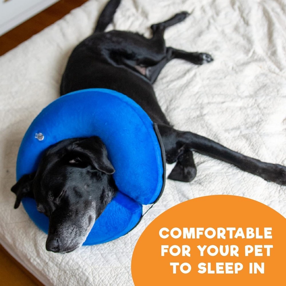 Bencmate Protective Inflatable Collar for Dogs and Cats Medium Blue