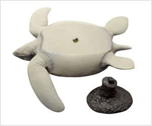 Archelon Soft Model Figure Prehistoric Life Favorite