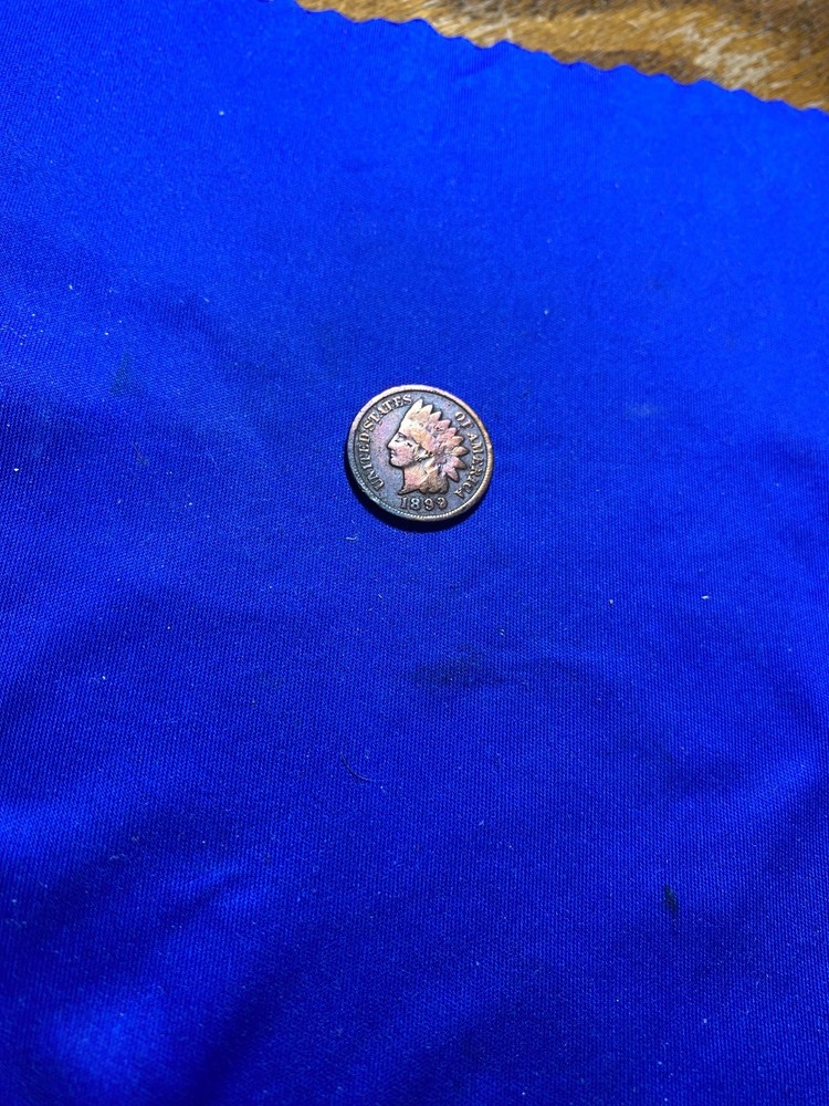 Indian Head Cent 1899 Circulated Type II