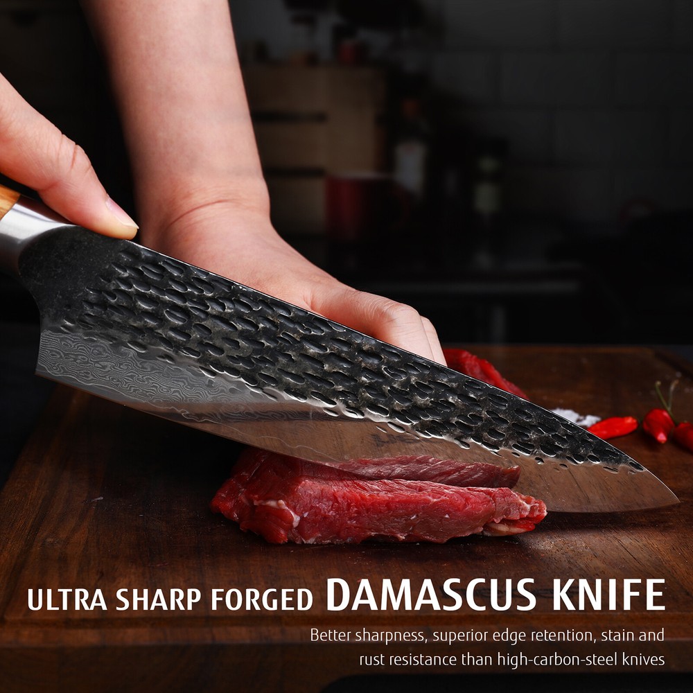8" Chef Knife Damascus Professional Extra Sharp Japanese Knife with Wood Handle