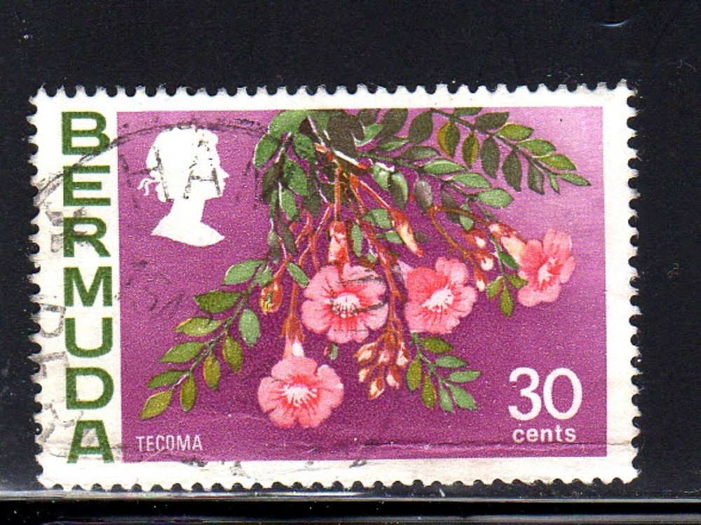 BERMUDA #267  1970  30c  TECOMA FLOWER    F-VF USED