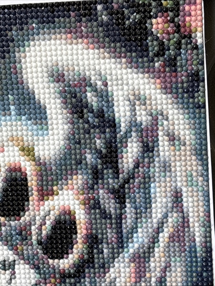 Completed Angel Pet Memorial Diamond Art ￼