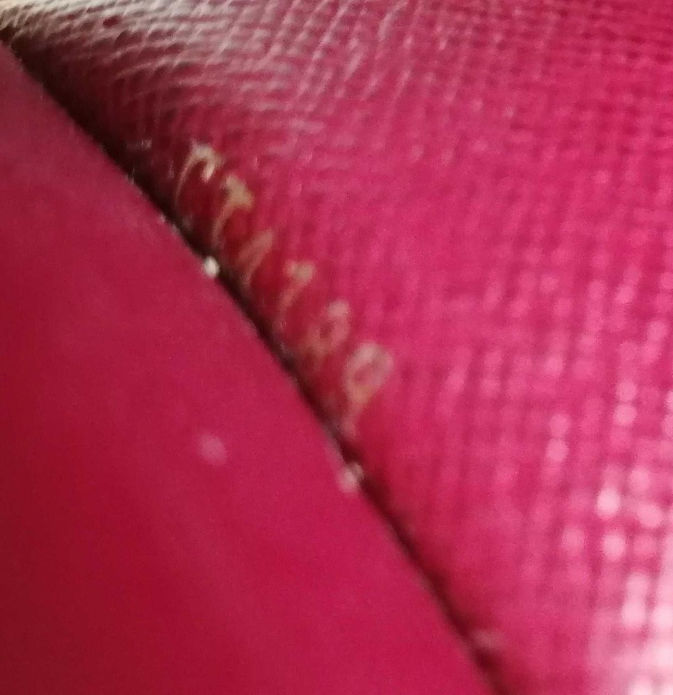 Louis Vuitton M60701 Monogram Multicle 6