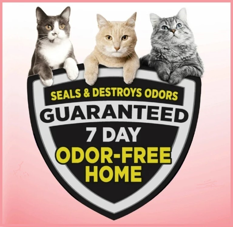 ARM & HAMMER Clump & Seal Multi-Cat Clumping Cat Litter, 14 lb