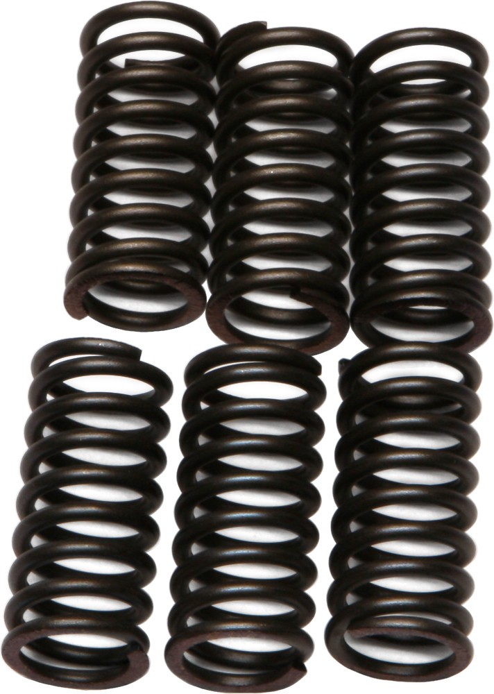 EBC CSK Clutch Spring Kit CSK24