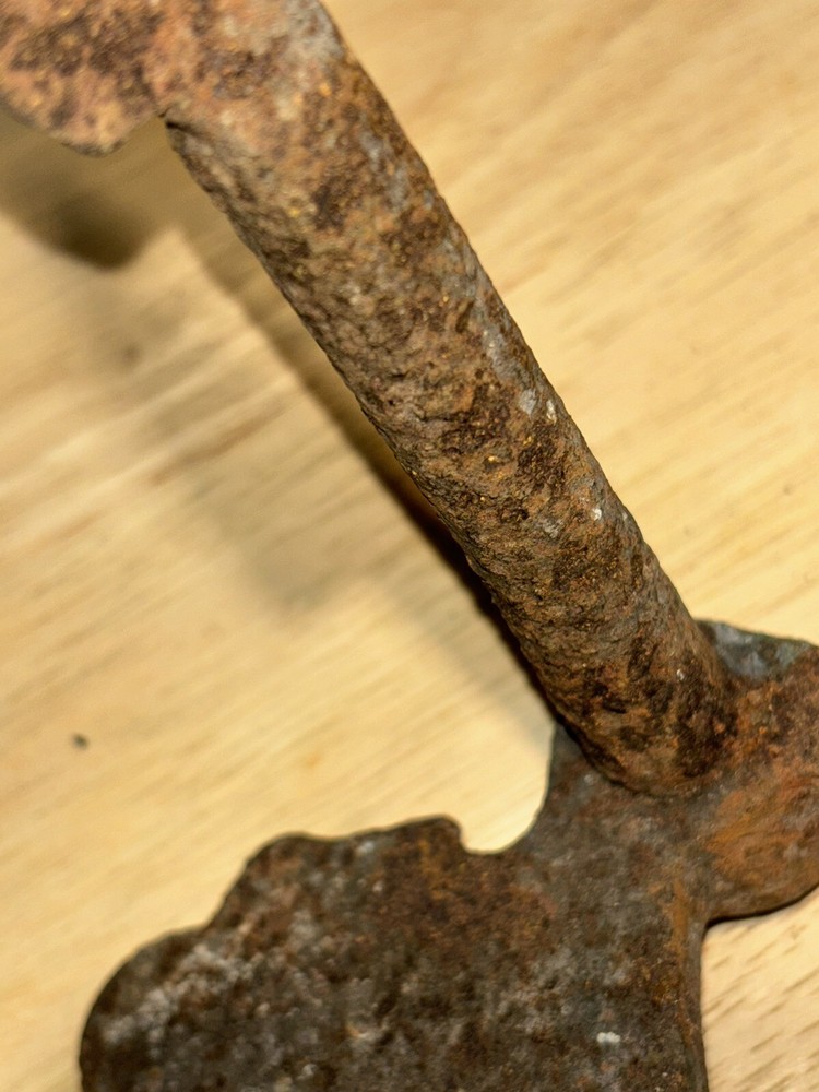 Antique Iron Grape Pattern Shutter Dog, Vineyard or Garden Spike