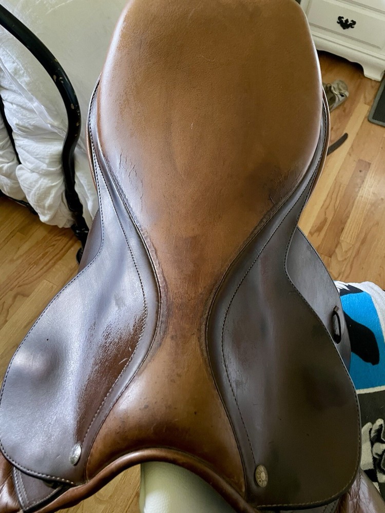 18" Collegiate Close Contact Saddle