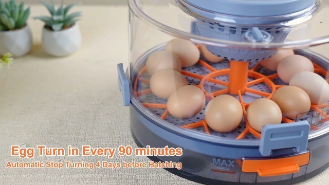 Automatic Egg Incubator with Humidity Control & Temp Adjustment, 12 Eggs Capacit