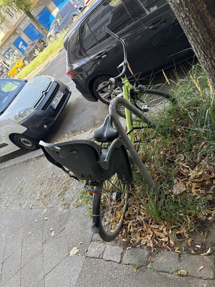 Cycle With Child Seat