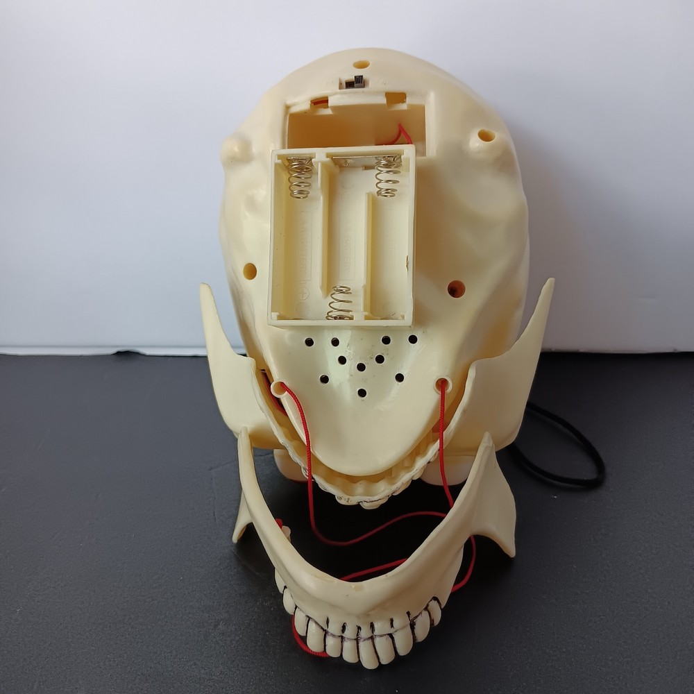 Lighted-Talking Plastic Skull