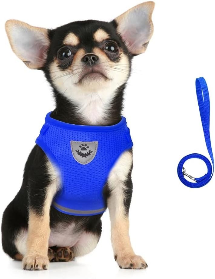 Dog Harness & Leash Set Walking Soft Mesh Adjustable Easy Control Lightweight