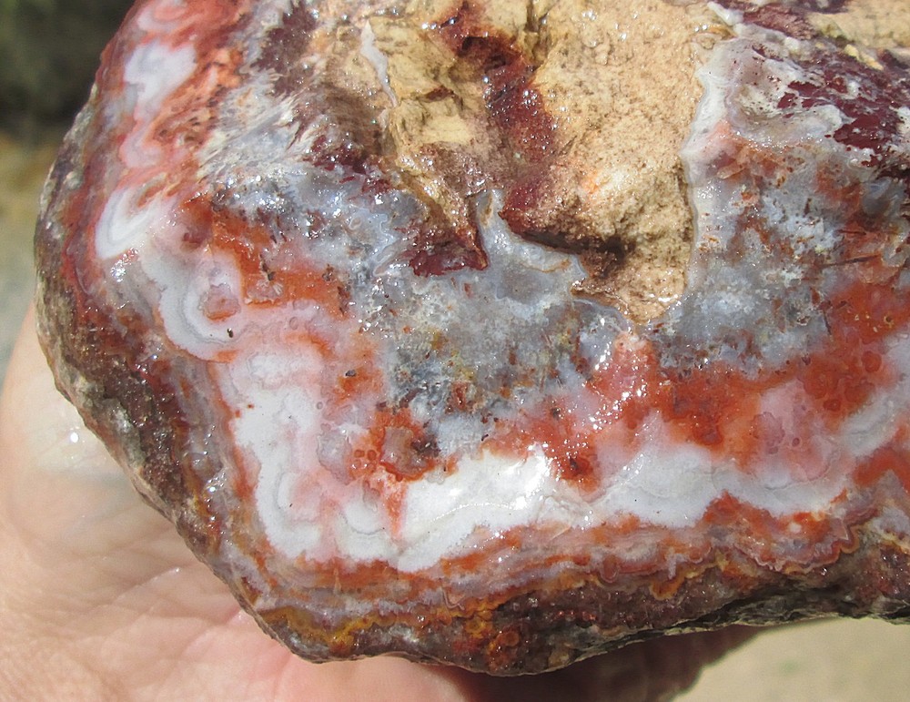 CRAZY LACE AGATE ROUGH ~ 6lbs 2ozs