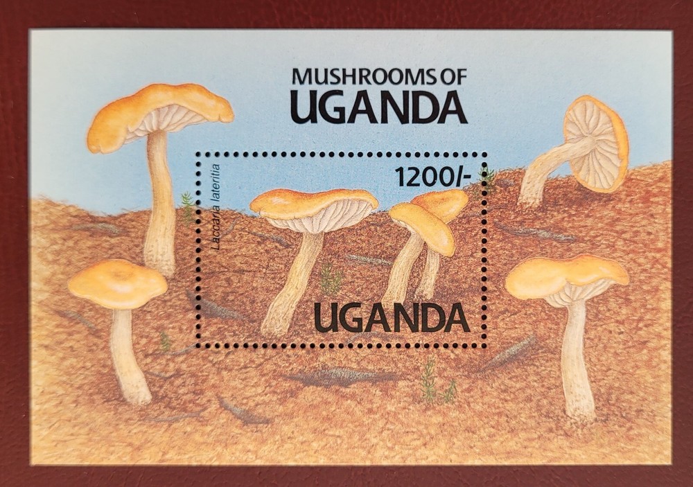 Uganda 1991 /  Mushrooms of Uganda  / 1v ms