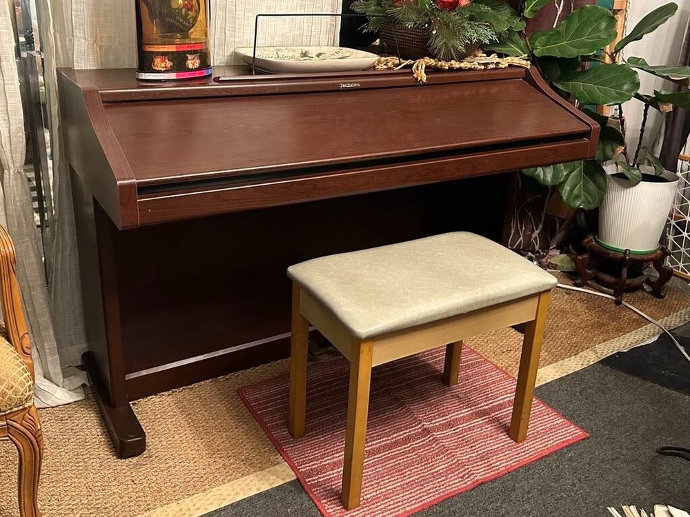 Professional Level Technics SX-PR603 Digital Ensemble Sustain pedal not work