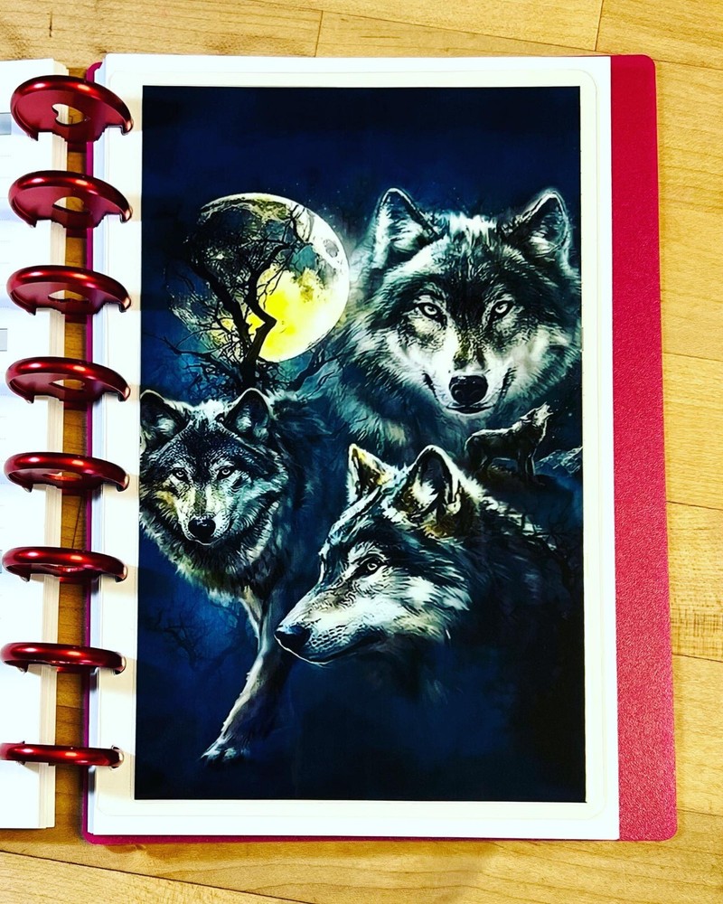 Wolf Dark Blue Night Wolves DASHBOARD 4 use w/ the TUL/Arc (8 disc) Planner