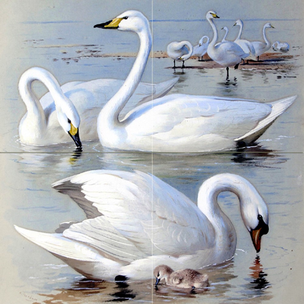 24 x 24 White Swans Accent Tile Mural Kitchen Bathroom Wall Backsplash