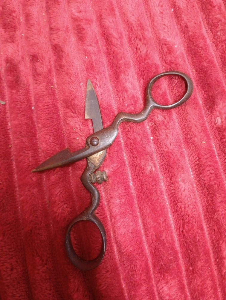 Antique Buttonhole Scissors