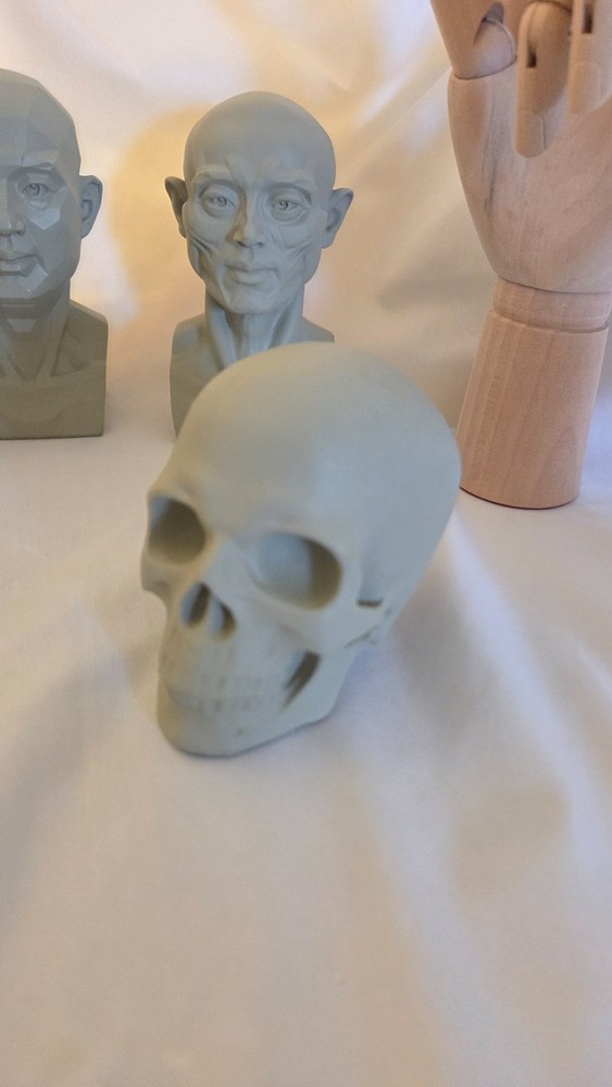 Mini Drawing Aid Model Set -- Hands, Head, and Skull